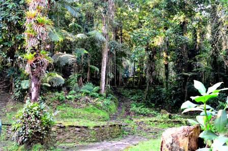 Ciudad Perdida